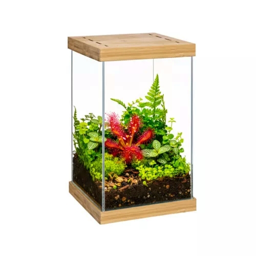 135143_selva-mini-terrarium_11_501-500x500.jpg