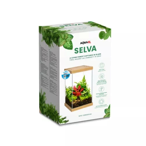 135143_selva-mini-terrarium_12_736-500x500.jpg