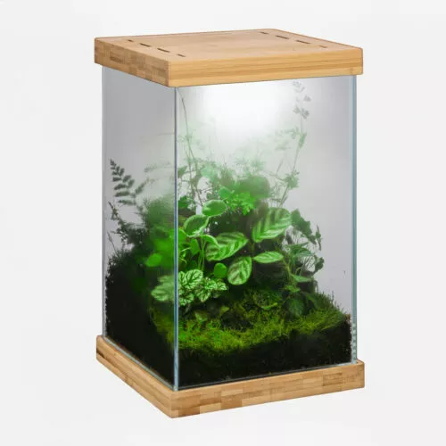135143_selva-mini-terrarium_14_114-500x500.webp