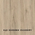 Dąb Sanremo Piaskowy.jpg