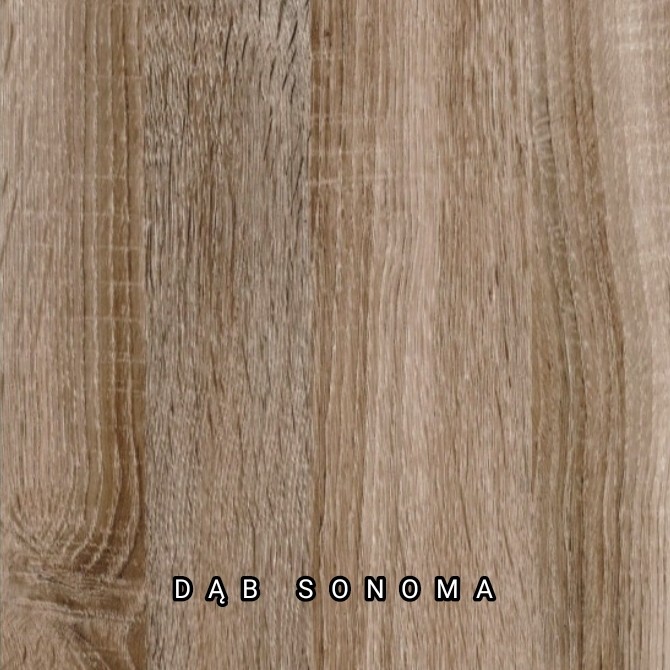 Dąb Sonoma.jpg