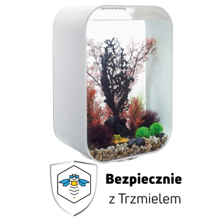 białe.jpg