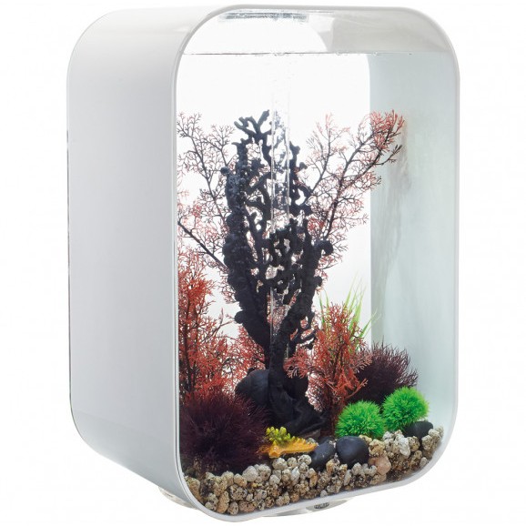 biorb-life-15-led-bialy-zestaw-akwarium-15l.jpg