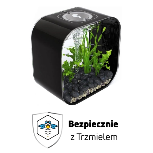 czrne.jpg