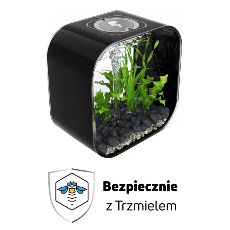 czrne.jpg