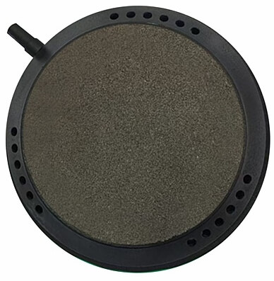 20251205122148as-disc-foto.jpg