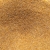 ndsa2ndsa2,3.jpg