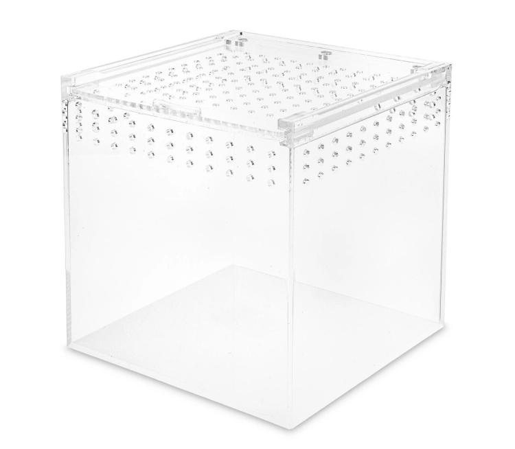 terrarium-akrylowe-15x15x15-cm-strong.jpg