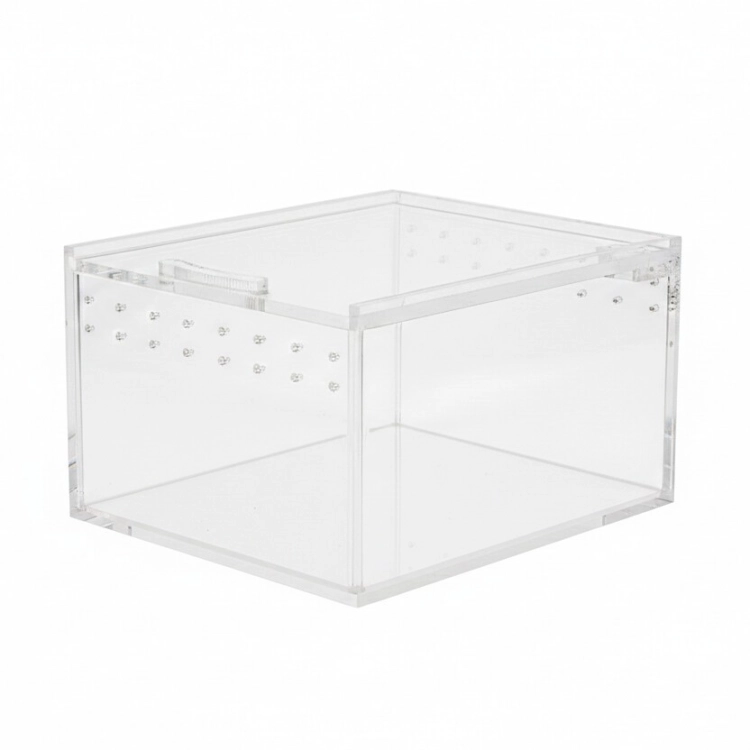 terrarium-akrylowe-10-5x8-5x6-cm.jpg