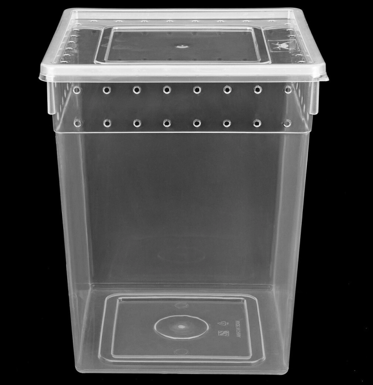 pojemnik-hodowlany-breeding-box-21x21x25-cm.jpg