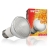 zarowka-terra-mini-metahalogen-happet-35w.jpg