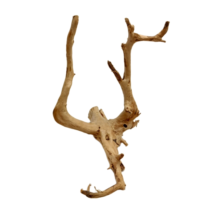 12 12 (1).png