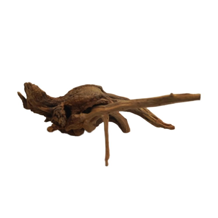 28 (1).png
