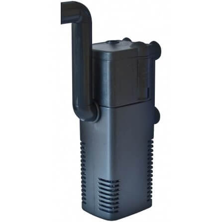 file1.jpg