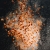 FireShot Capture 1053 - Skalar Protein+ Granulat L – StreamBiz - streambiz.de.jpg