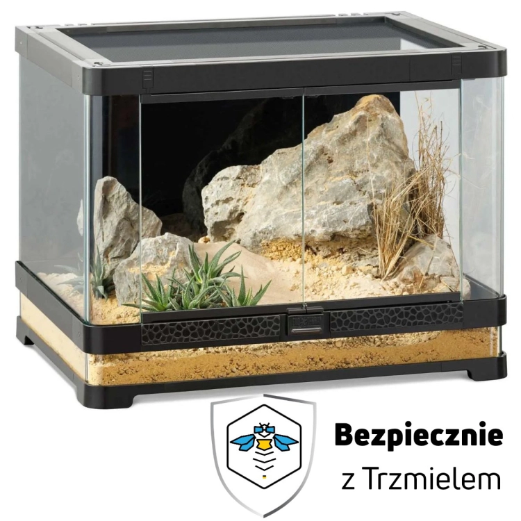 Bez nazwy.jpg