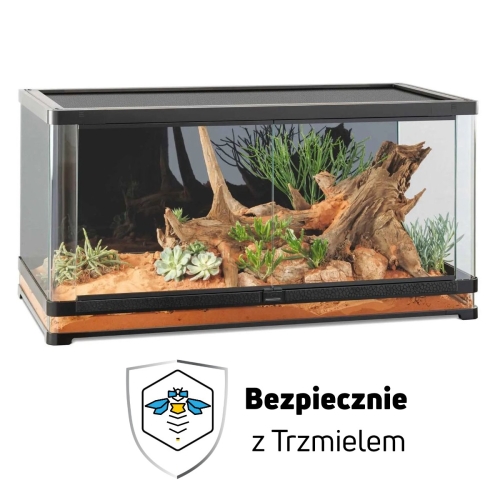 Bez nazwy.jpg