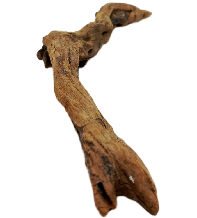 113 (1).png