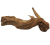 16 (2).png