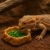 r204-miska-na-wode-terrarium-.jpg