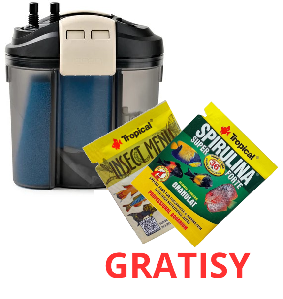270624.png