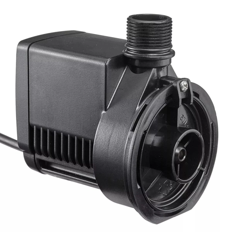 d.jpg