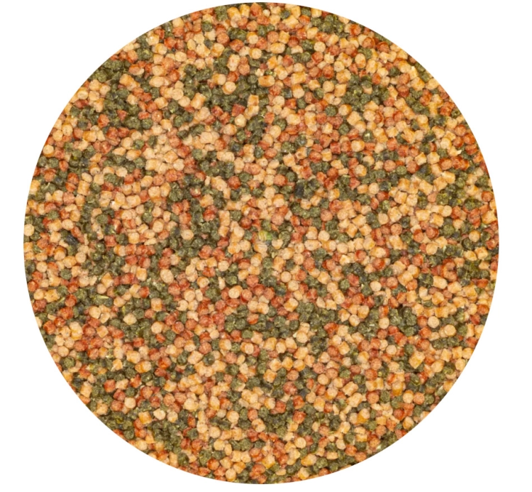 278392.jpg