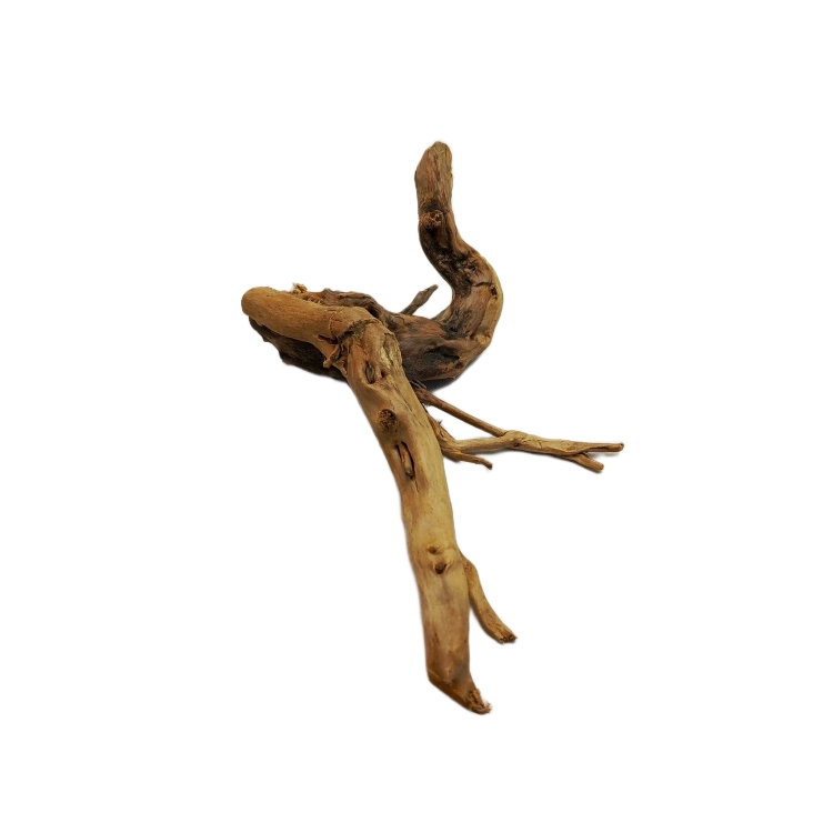 8 (1).png