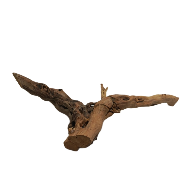 8 (2).png