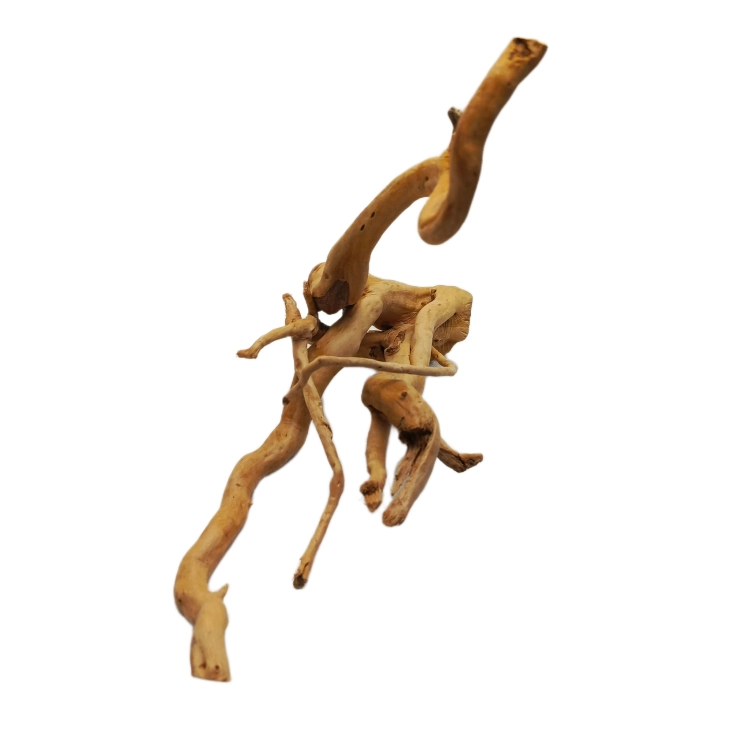 10 (1).png