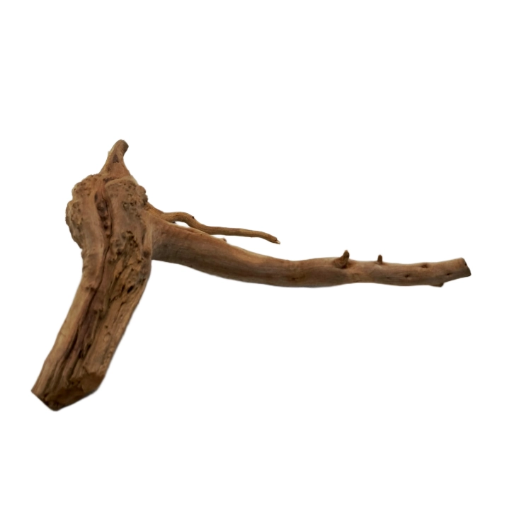 11 (1).png