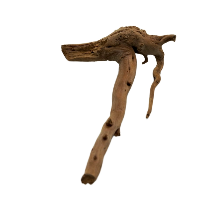 11 (2).png