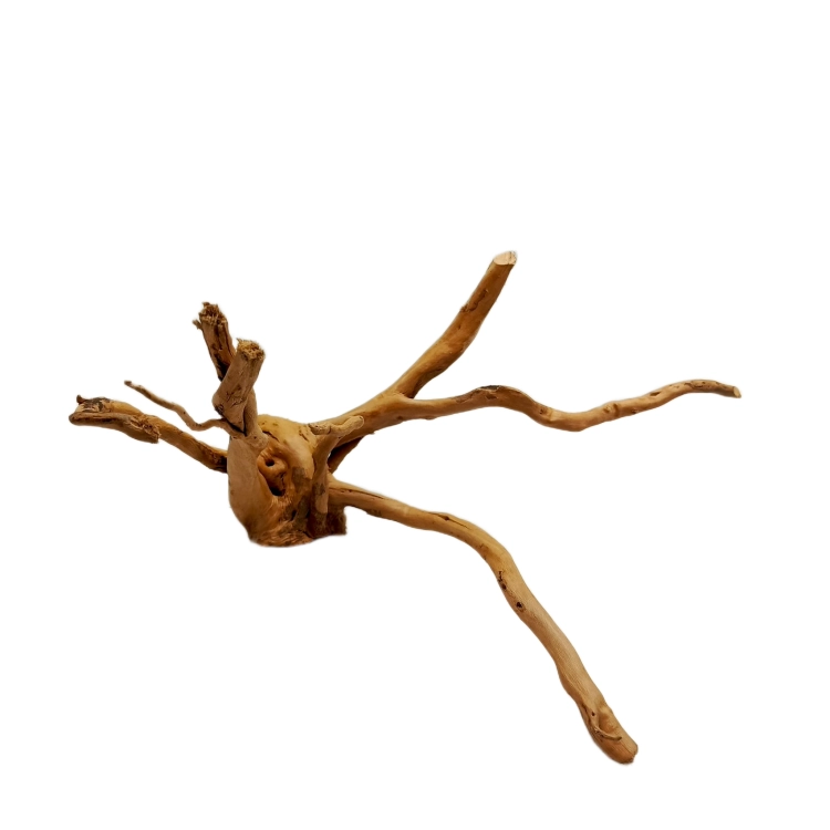 14 (1).png