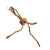 14 (2).png