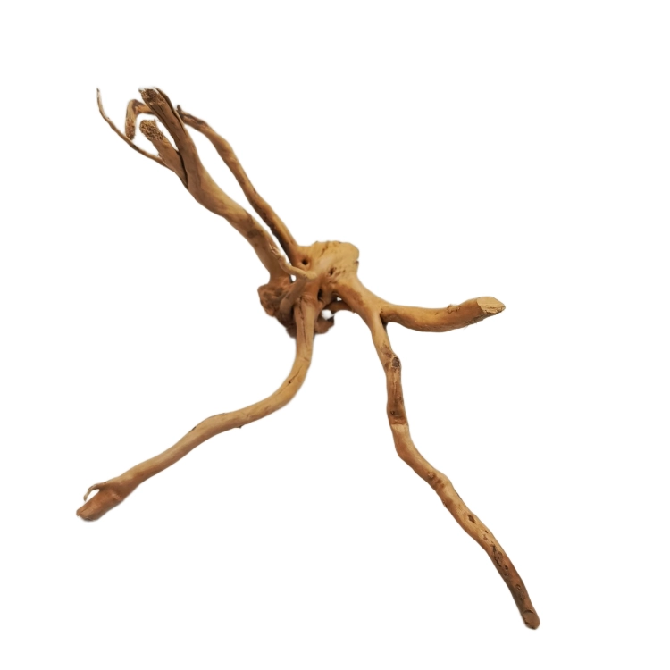 14 (2).png