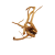 19 (1).png