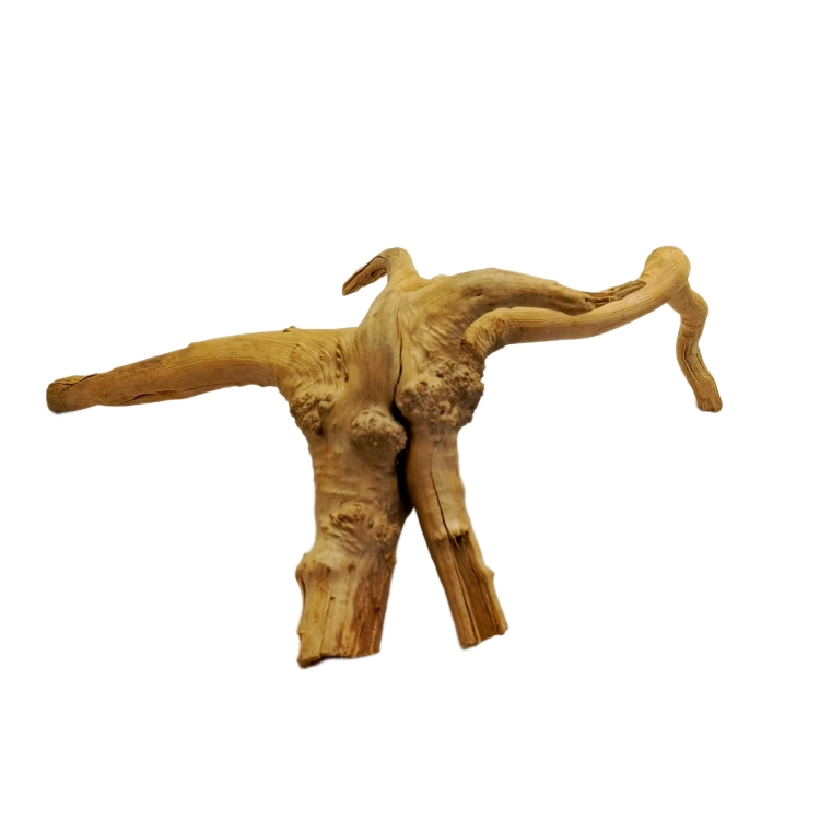 20 (2).png