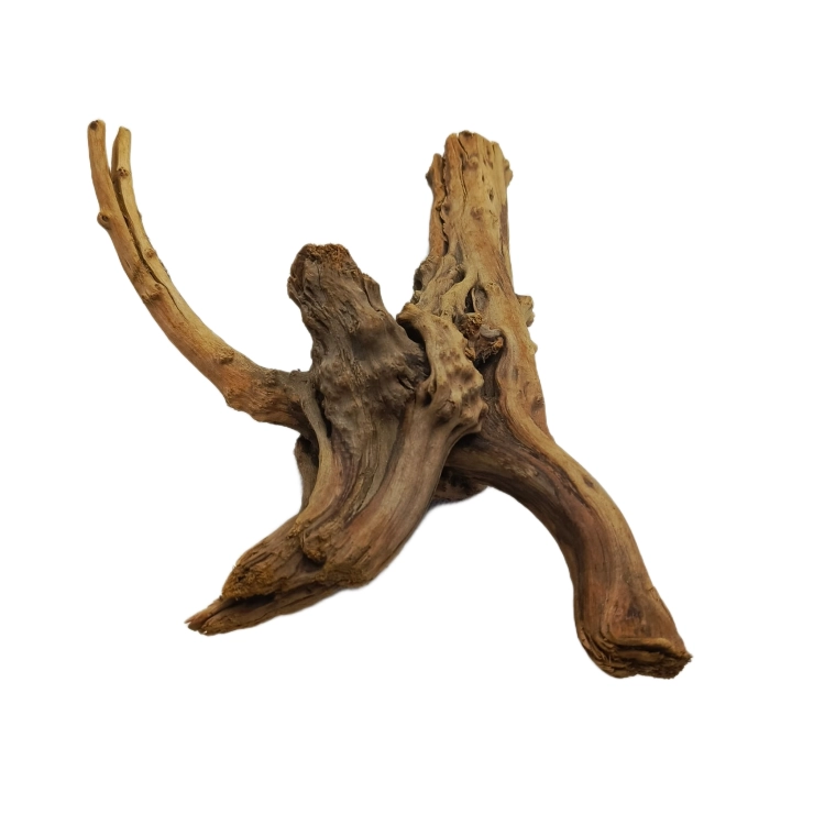21 (2).png
