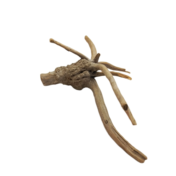 25 (1).png