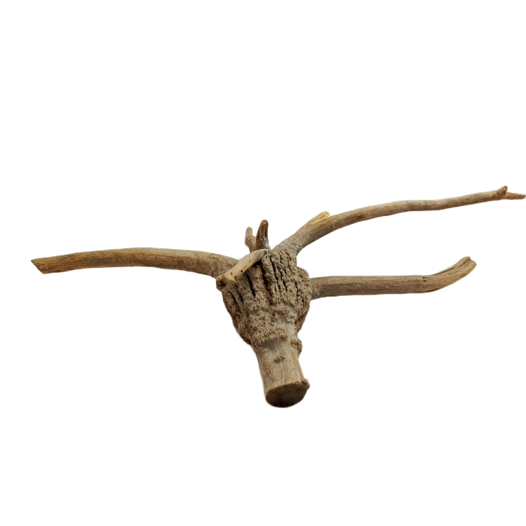 25 (2).png