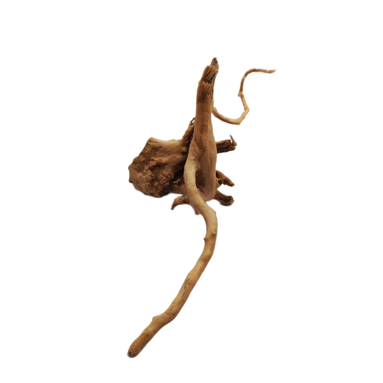 28 (1).png