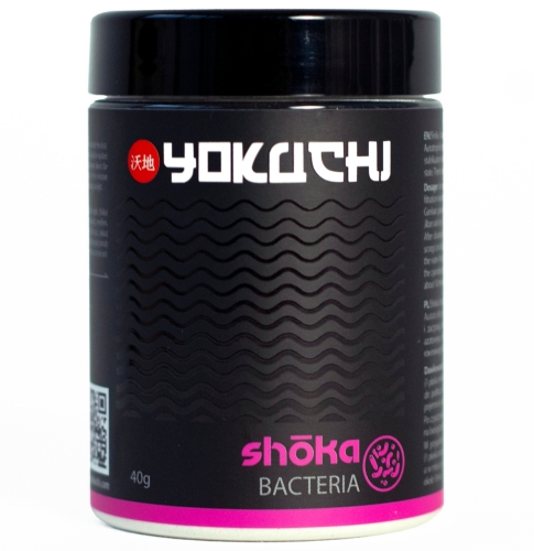 shoka bakteria.jpg