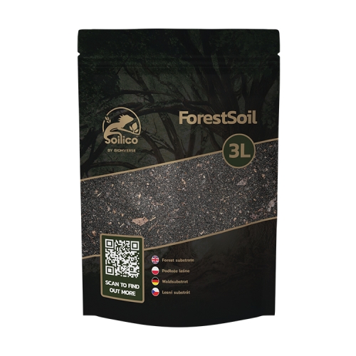 forestSoil.jpg
