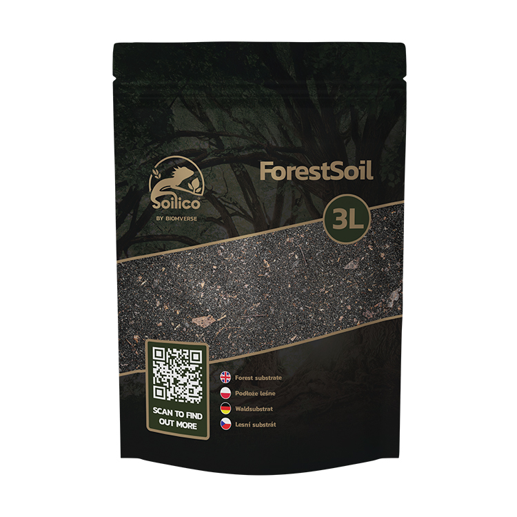 forestSoil.jpg