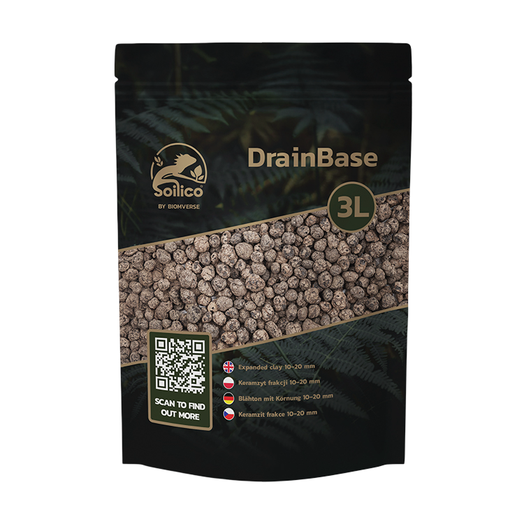 drainbase.png
