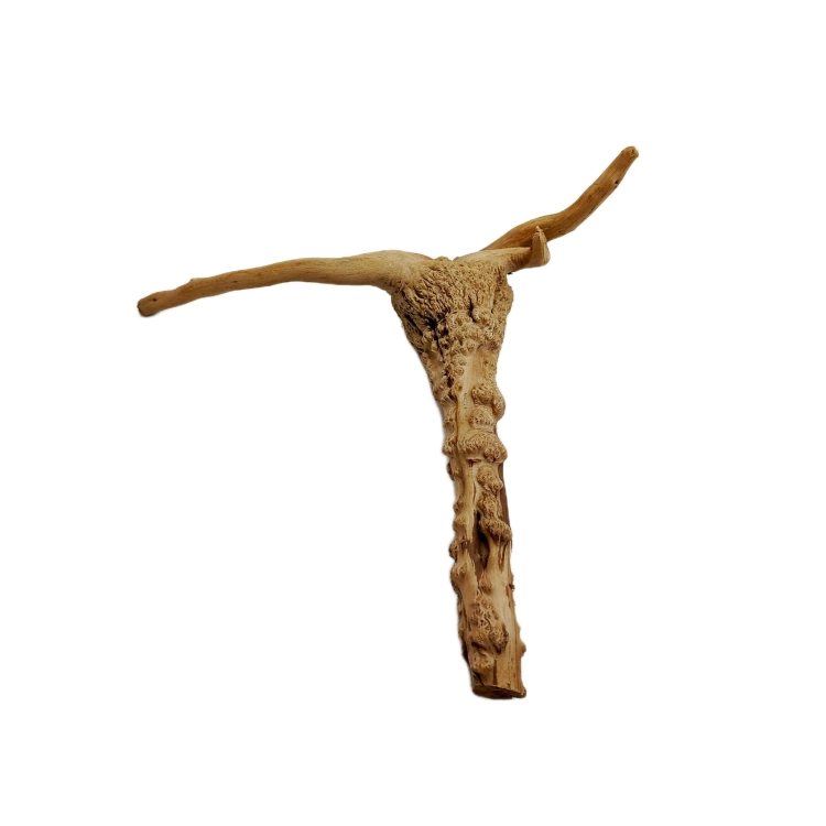 27 (1).png