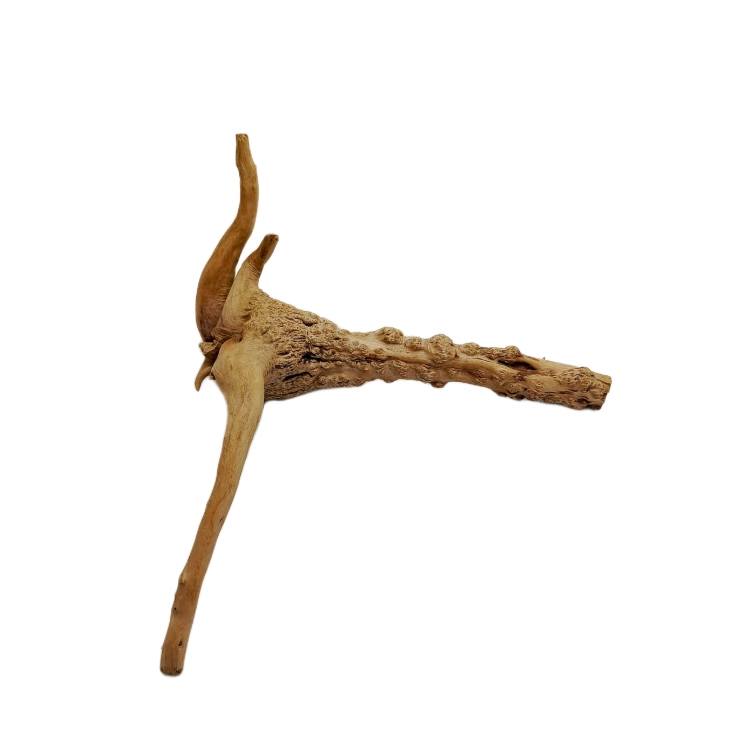 27 (2).png