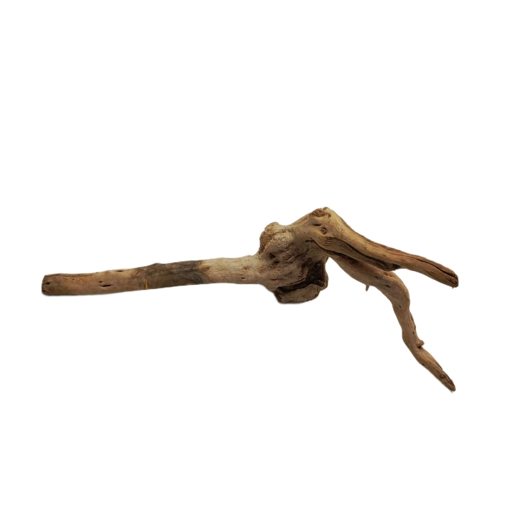 12 (3).png