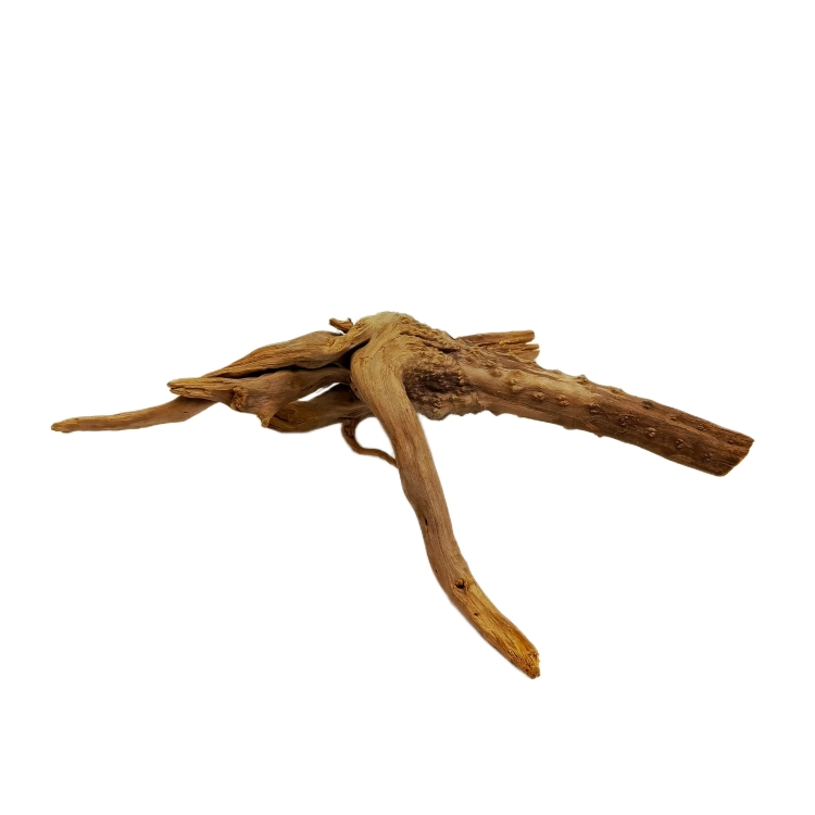 3 (2).png