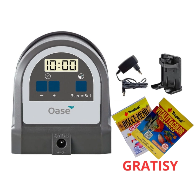 286381.jpg